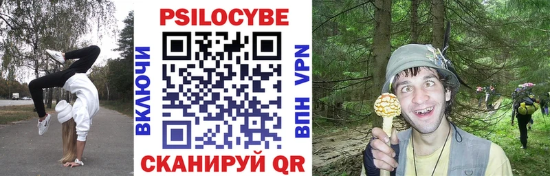 Псилоцибиновые грибы Psilocybe  Плёс 